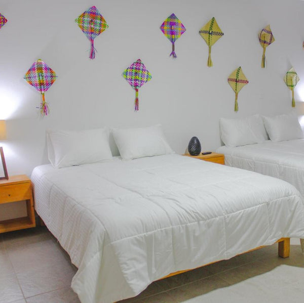 Oportunidad de negocio en Oaxaca