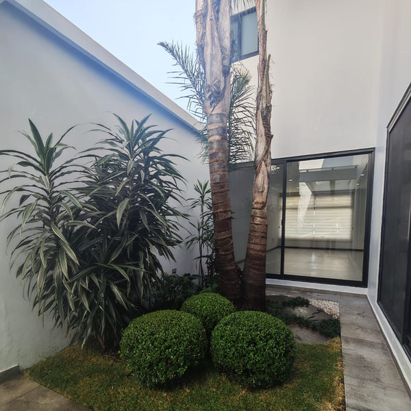 Casa en Venta Fracc. La mezza