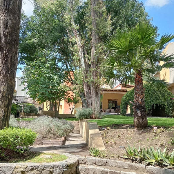 Casa en Renta Fracc. San José del Puente