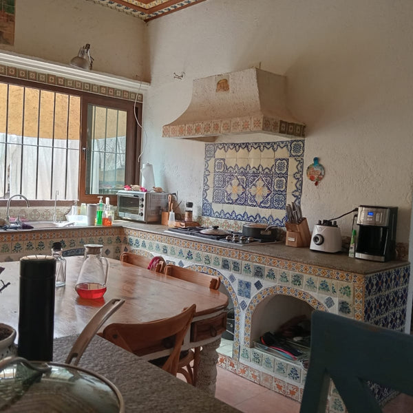 Casa en Renta Fracc. San José del Puente